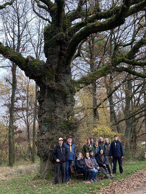 Toller Baum mit 540 Jahren Pfadfindermitgliedschaft im Vordergrund | Foto: Peter Krietemeyer