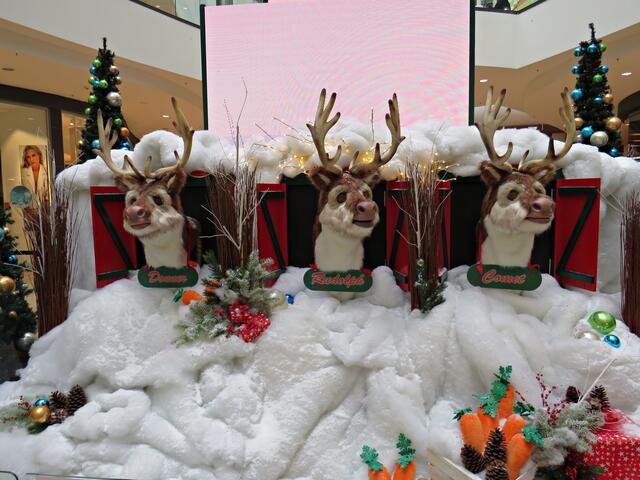 Hintendran ist die Einpackstation | Foto: Brigitte Melder