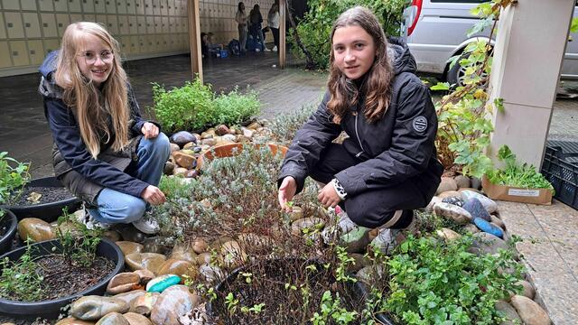 Schülerinnen im neu gestalteten Kräuterbeet | Foto: Biosphärenreservat Pfälzerwald-Nordvogesen/Franziska Keller