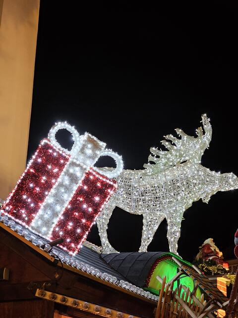 Foto: Gisela Böhmer