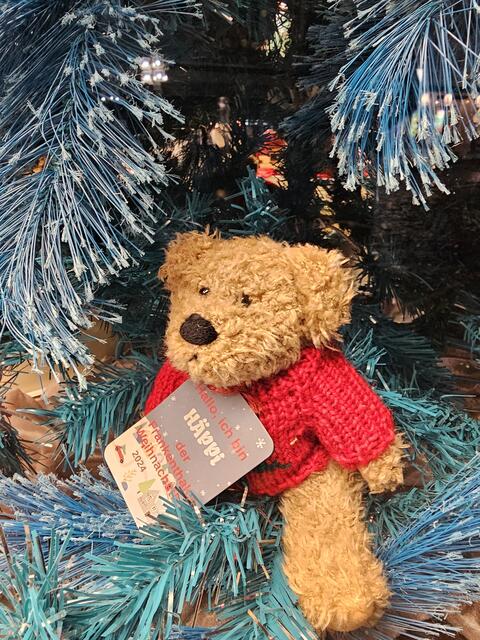 Der Frankenthaler Weihnachtsbär - Häppi | Foto: Gisela Böhmer