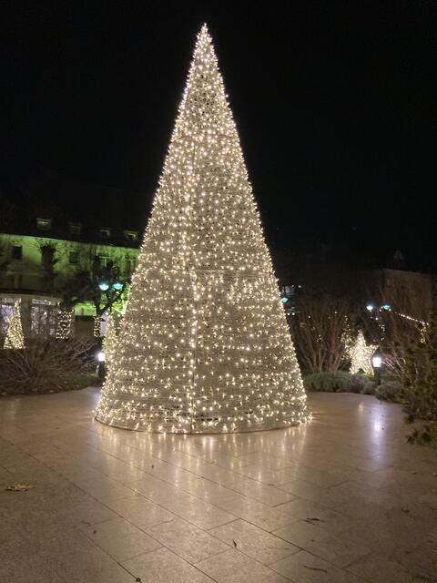 Der Weihnachtsmarkt in Bad Dürkheim findet vom 29. November bis 22. Dezember 2024 statt.  | Foto: Anouar Touir