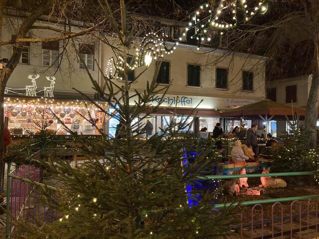 Der Weihnachtsmarkt in Bad Dürkheim findet vom 29. November bis 22. Dezember 2024 statt.  | Foto: Anouar Touir