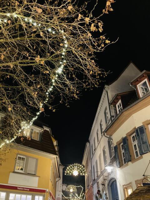 Der Weihnachtsmarkt in Bad Dürkheim findet vom 29. November bis 22. Dezember 2024 statt.  | Foto: Anouar Touir