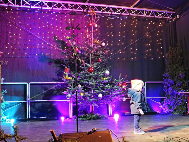 Alleine auf der großen Bühne | Foto: Brigitte Melder