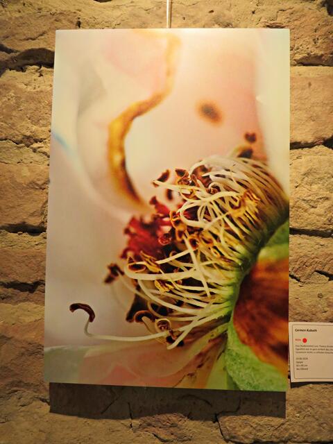 Foto: Brigitte Melder