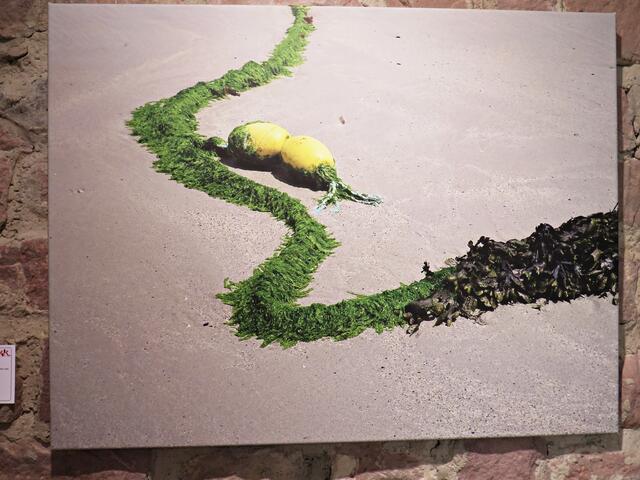 Heinz-Peter Schneider | Foto: Brigitte Melder