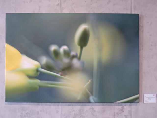 Carmen Kubath | Foto: Brigitte Melder