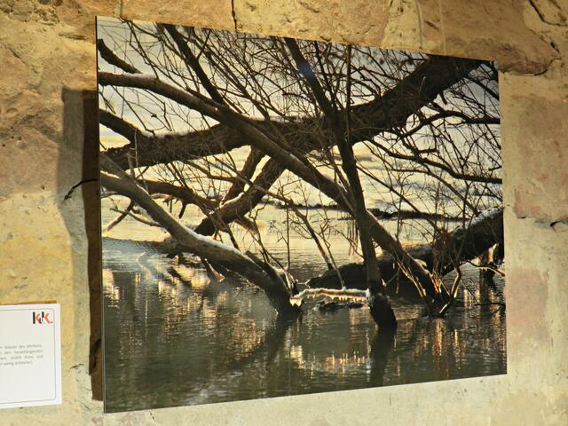 Foto: Brigitte Melder