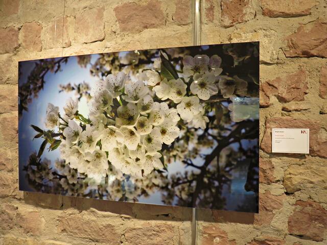 Foto: Brigitte Melder