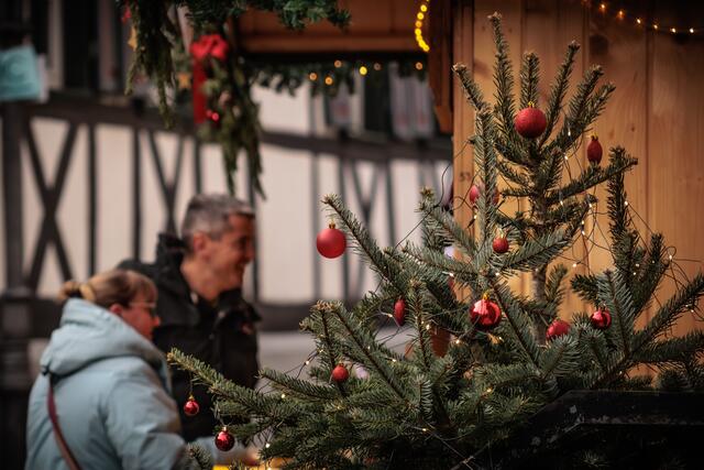 Anneresl Weihnachtsmarkt in Rheinzabern 2024 | Foto: Paul Needham