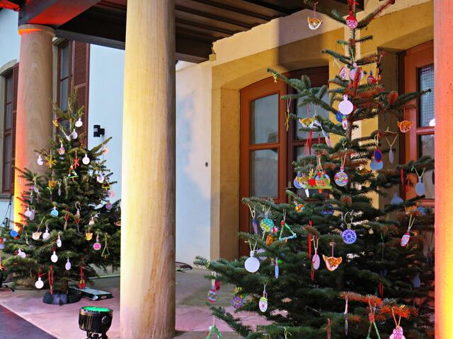 Die beiden sollten versteigert werden | Foto: Brigitte Melder