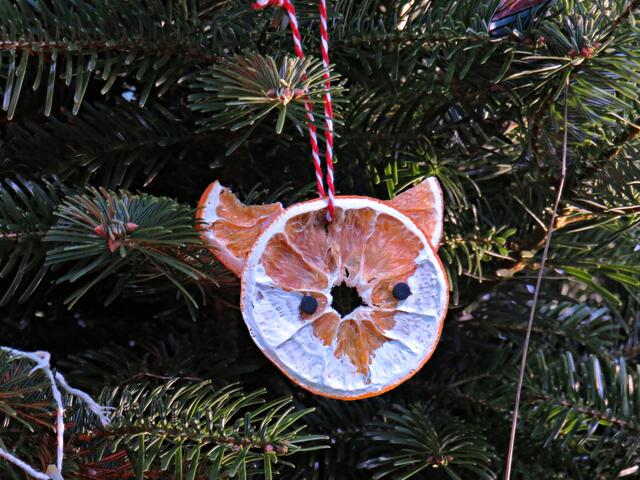 Foto: Brigitte Melder