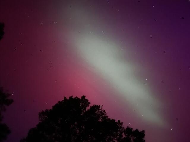 Polarlichter über Neustadt - hier von der Kalmit aus fotografiert | Foto: Laura Braunbach