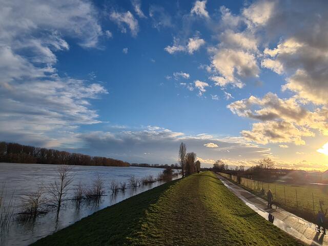 Der Rheinhauptdeich als wichtiges Instrument zum Schutz vor Hochwasser | Foto: Gisela Böhmer