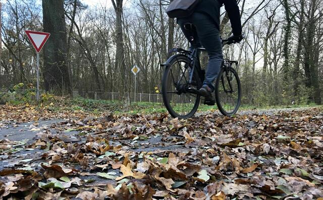 Laub auf dem Radweg | Foto: ADFC