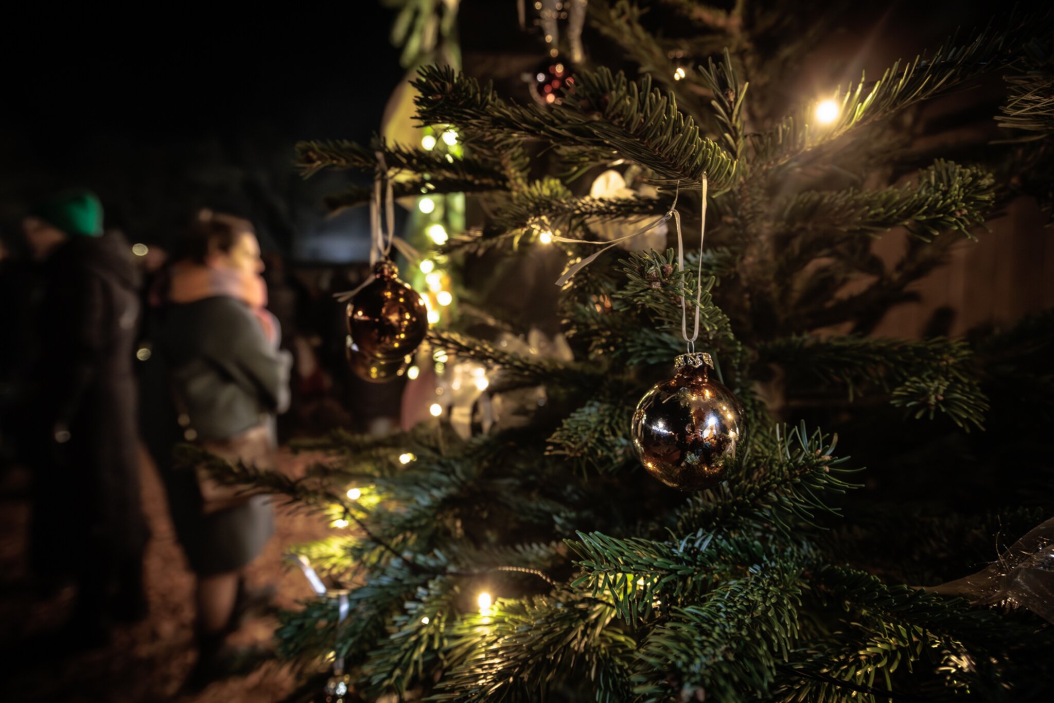 Weihnachtsmarkt in Bellheim mit festlichem geschmücktem Weihnachtsbaum