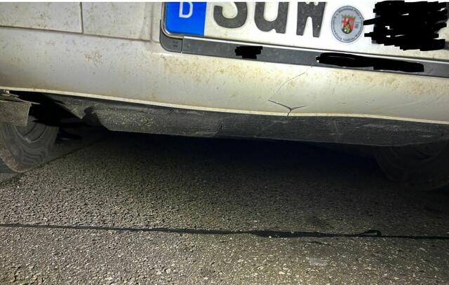 Am VW Bus verursachte das Tier geringen Sachschaden, weil der Fahrer langsam fuhr | Foto: Polizei Edenkoben