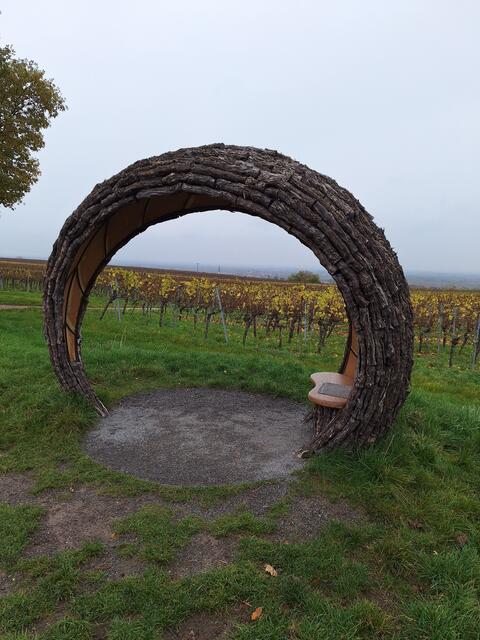Durchblick | Foto: Ich