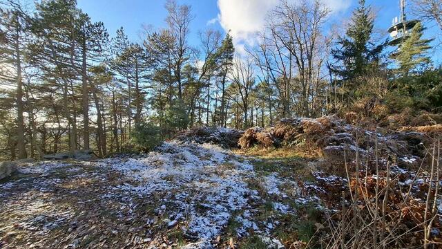 Schnee am Felsenmeer | Foto: Ich