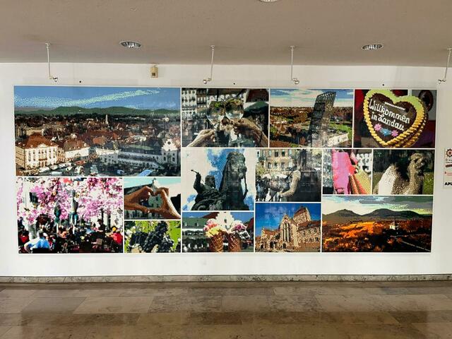 August 2024 in Landau: Aus insgesamt 163.840 Lego-Steinen besteht das fertige Landau-Mosaik! Das fünf auf zwei Meter große Kunstwerk wurde bei der großen Lego-Fan-Aktion am letzten Wochenende mit dem Verein Lauter Steine gebaut.  | Foto: Katharina Wirth