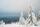 Winterstimmung im Nationalpark  | Foto: Arne Kolb, Nationalpark Schwarzwald