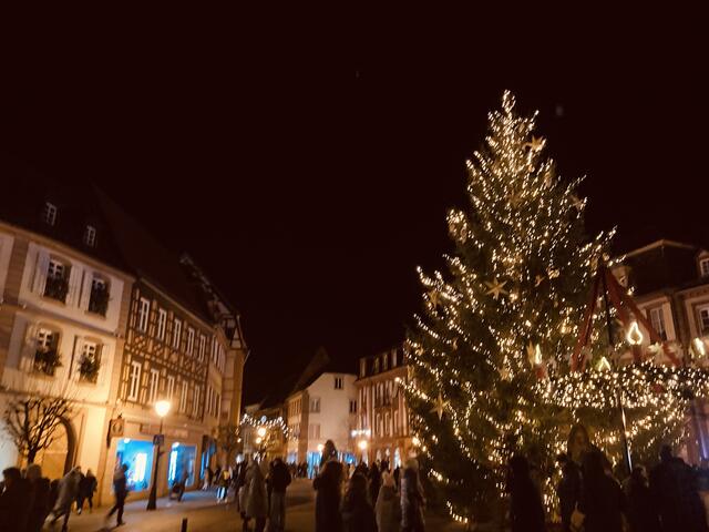 Sonntag, 22. Dezember 2024: Weihnachtsumzug mit Hans Trapp und Christkindl | Foto: Anouar Touir