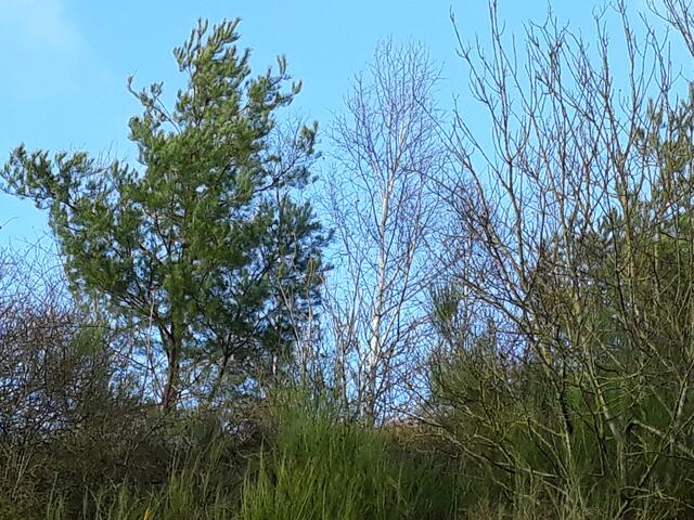 Foto: ELISABETH WEBER