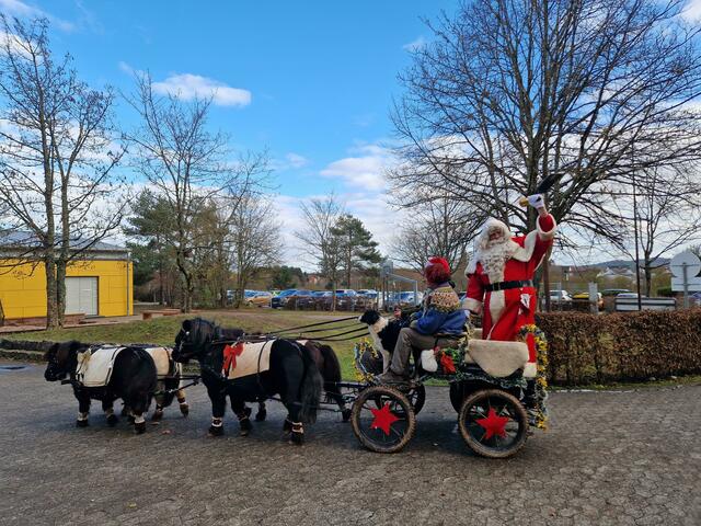 Chauffiert wurde der Nikolaus in die Schulen mit einem Vierer-Gespann und Kutsche von süßen Shetland-Ponys. Dies wurde liebevoll von Erika Brandt vom Shetland Pony Team aus den Frankenhölzer Hofwiesen organisiert. | Foto: red