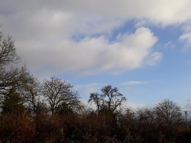 Foto: ELISABETH WEBER