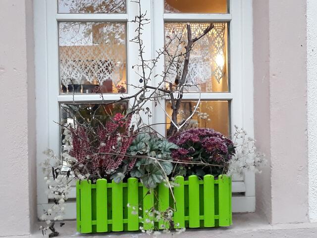Foto: ELISABETH WEBER
