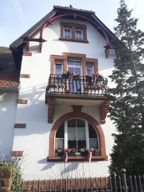 Foto: ELISABETH WEBER