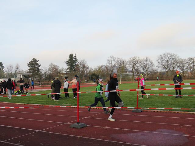 Foto: Brigitte Melder