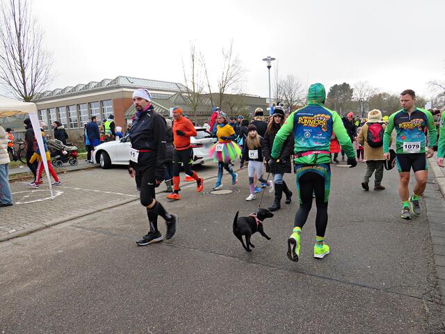 Auch die Hunde durften mit | Foto: Brigitte Melder