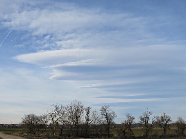 Tschüs Schlicht, bis zum Sommer | Foto: Brigitte Melder