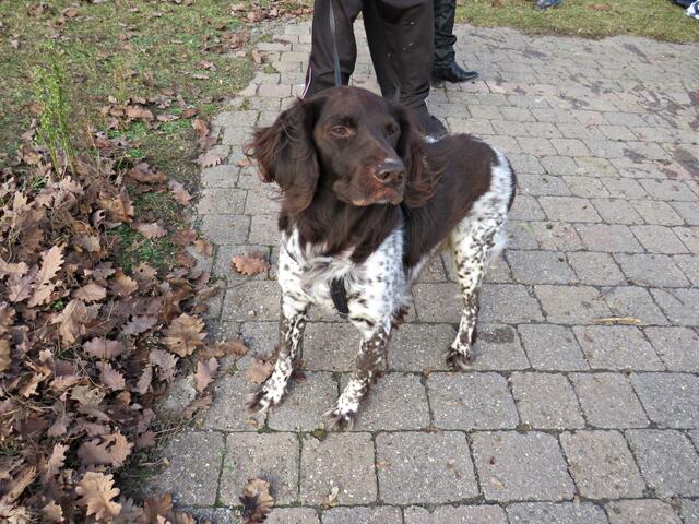 Foto: Brigitte Melder