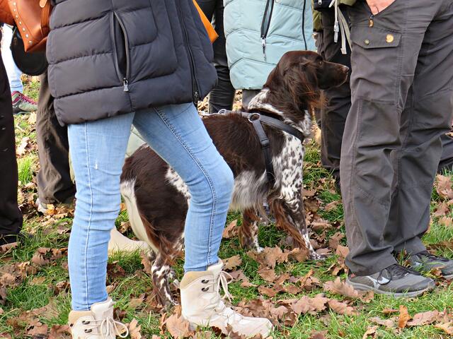 Yalk passt auf | Foto: Brigitte Melder