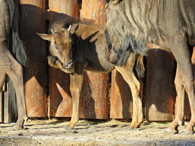 Foto: Brigitte Melder