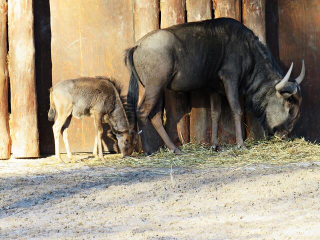 Foto: Brigitte Melder