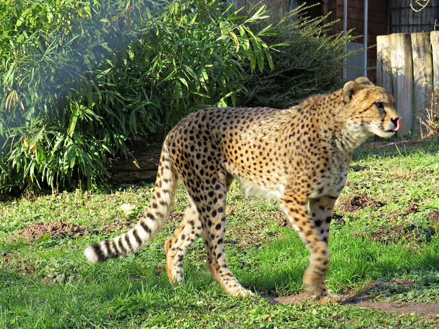 Foto: Brigitte Melder