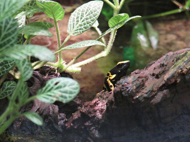 Foto: Brigitte Melder