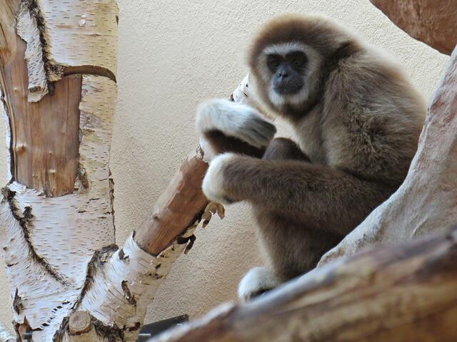 Foto: Brigitte Melder