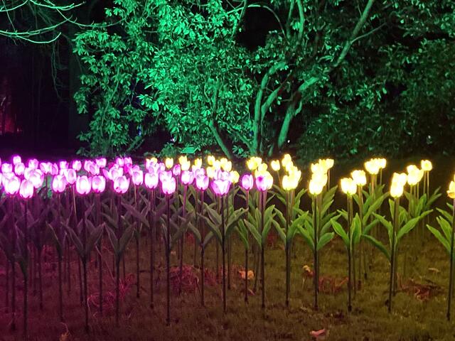 Die Winterlichter im Luisenpark finden vom 1. Januar bis 2. Februar 2025 statt. 

Update: Die Winterlichter im Luisenpark wurden um zwei Wochen bis zum Sonntag, 16. Februar 2025 verlängert.
 | Foto: Anouar Touir