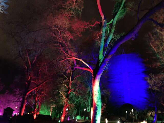 Die Winterlichter im Luisenpark finden vom 1. Januar bis 2. Februar 2025 statt. 

Update: Die Winterlichter im Luisenpark wurden um zwei Wochen bis zum Sonntag, 16. Februar 2025 verlängert.
 | Foto: Anouar Touir