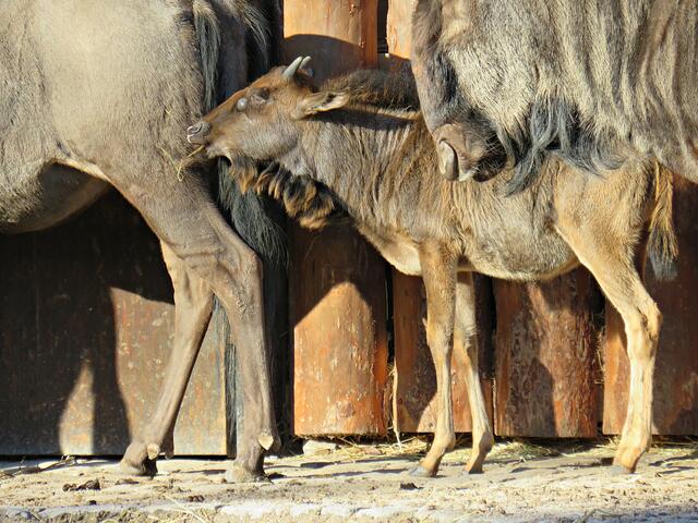 Foto: Brigitte Melder