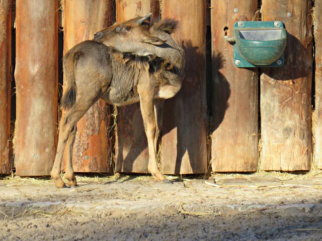 Foto: Brigitte Melder