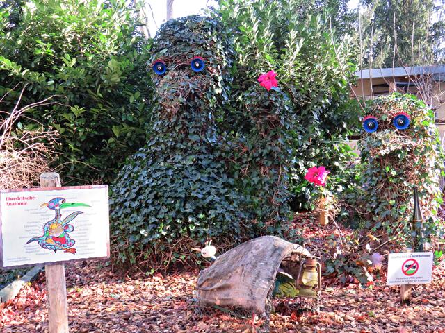 Auch Elwetritsche gibt es hier | Foto: Brigitte Melder