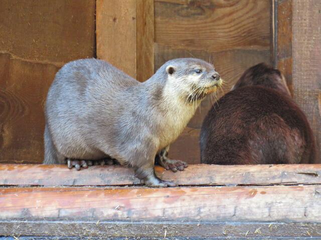 Foto: Brigitte Melder