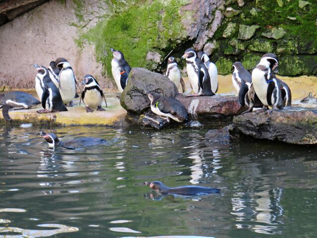 Foto: Brigitte Melder