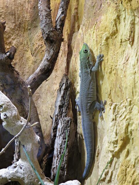 Foto: Brigitte Melder